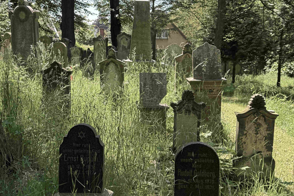 Grabsteine auf einem jüdischen Friedhof in der Oberlausitz